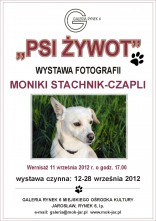 Wystawa fotografii ukazująca psi żywot autorstwa Moniki Stachnik Czapli